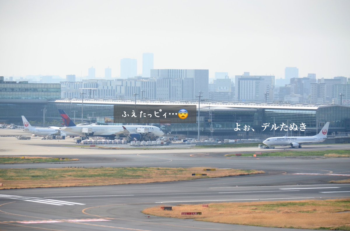 もも JALサ部員*⋆✈ tweet media