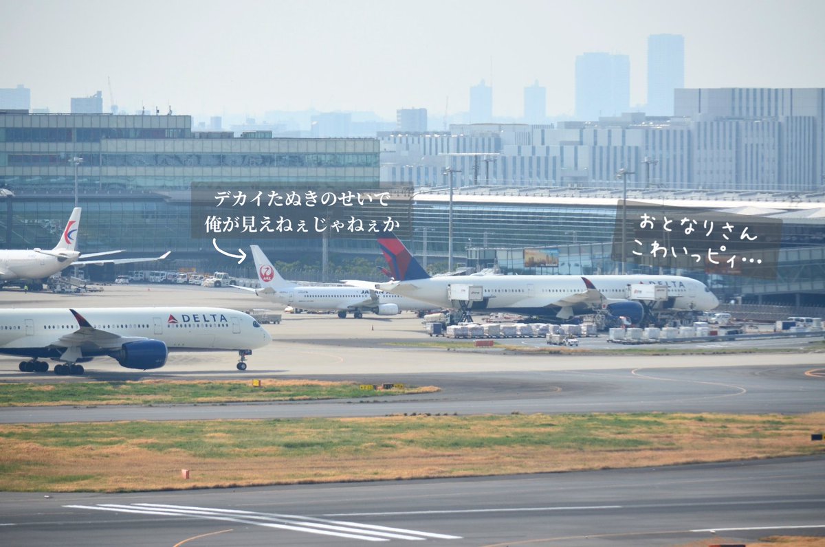 もも JALサ部員*⋆✈ tweet media