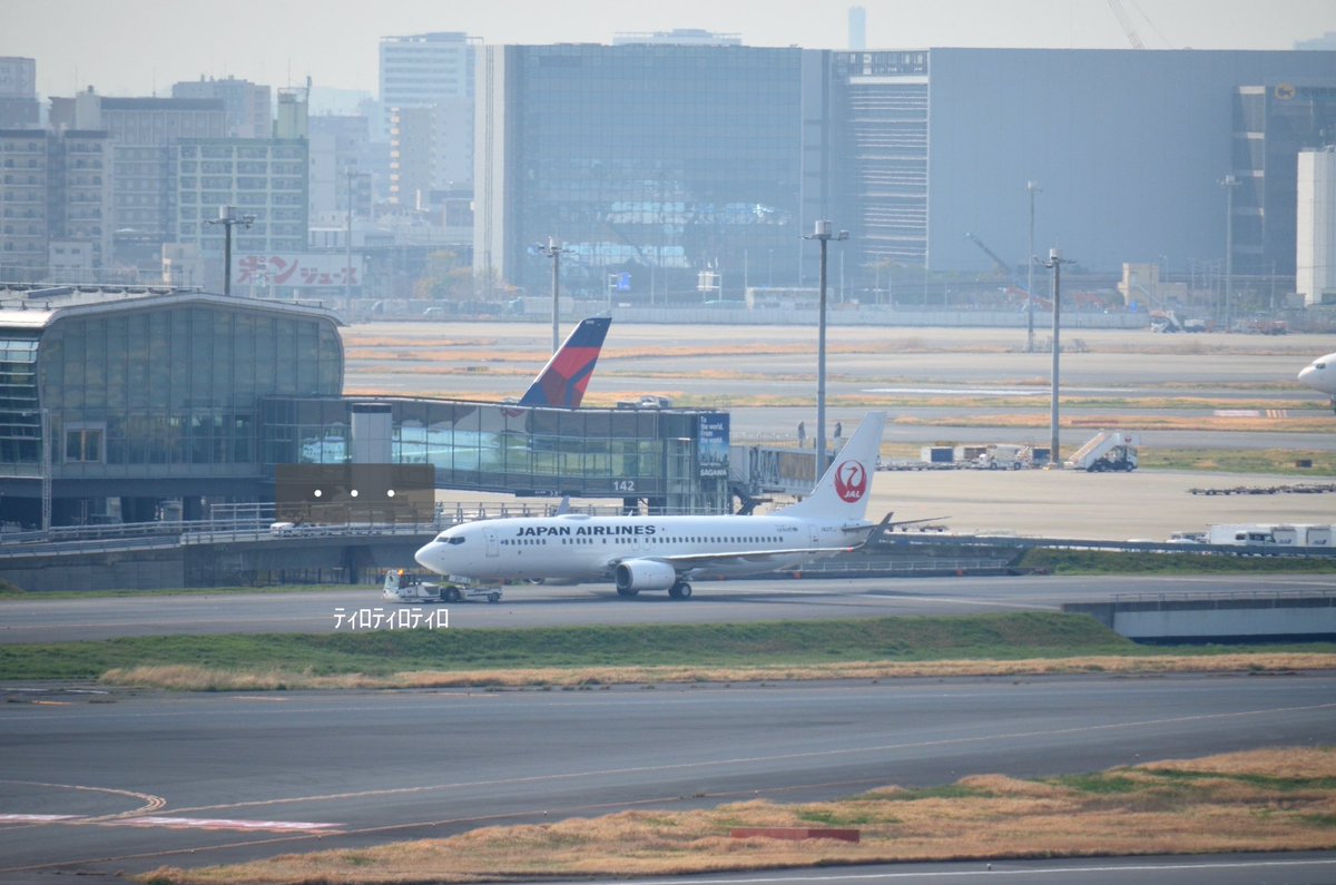 もも JALサ部員*⋆✈ tweet media