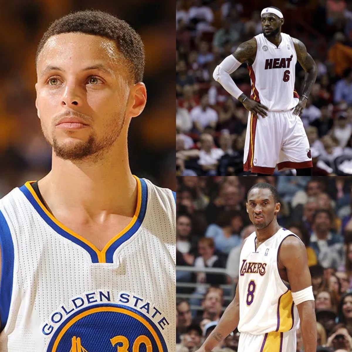 LoonMuse⚜️ tweet media