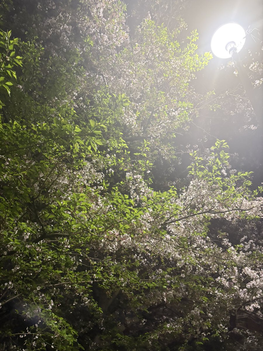 エンジン tweet media