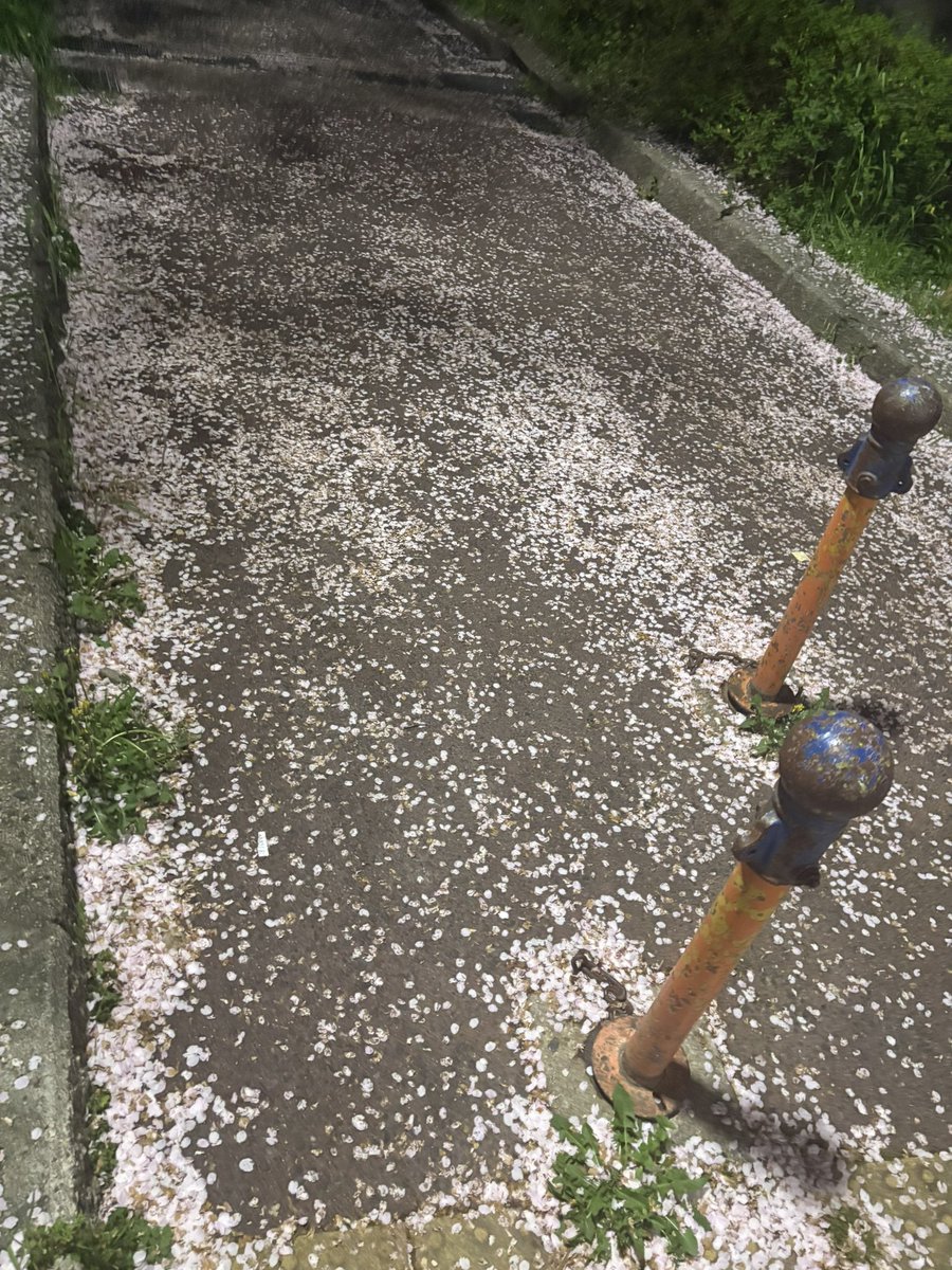 エンジン tweet media