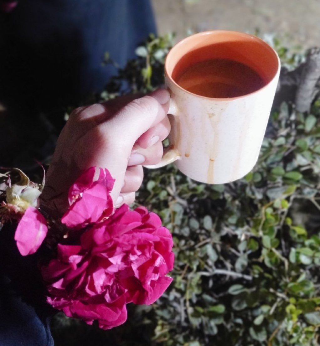 خان تنولی tweet media