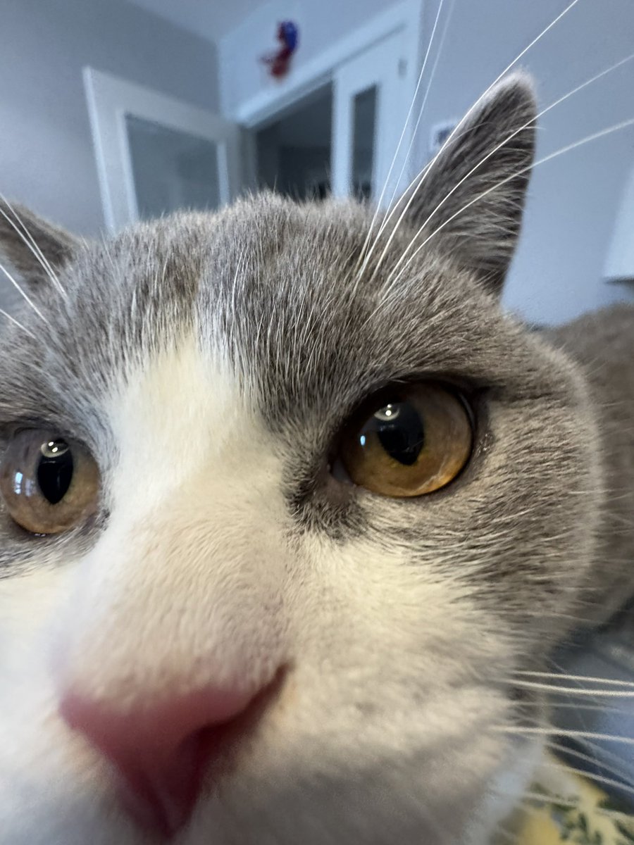 miguel :) tweet media