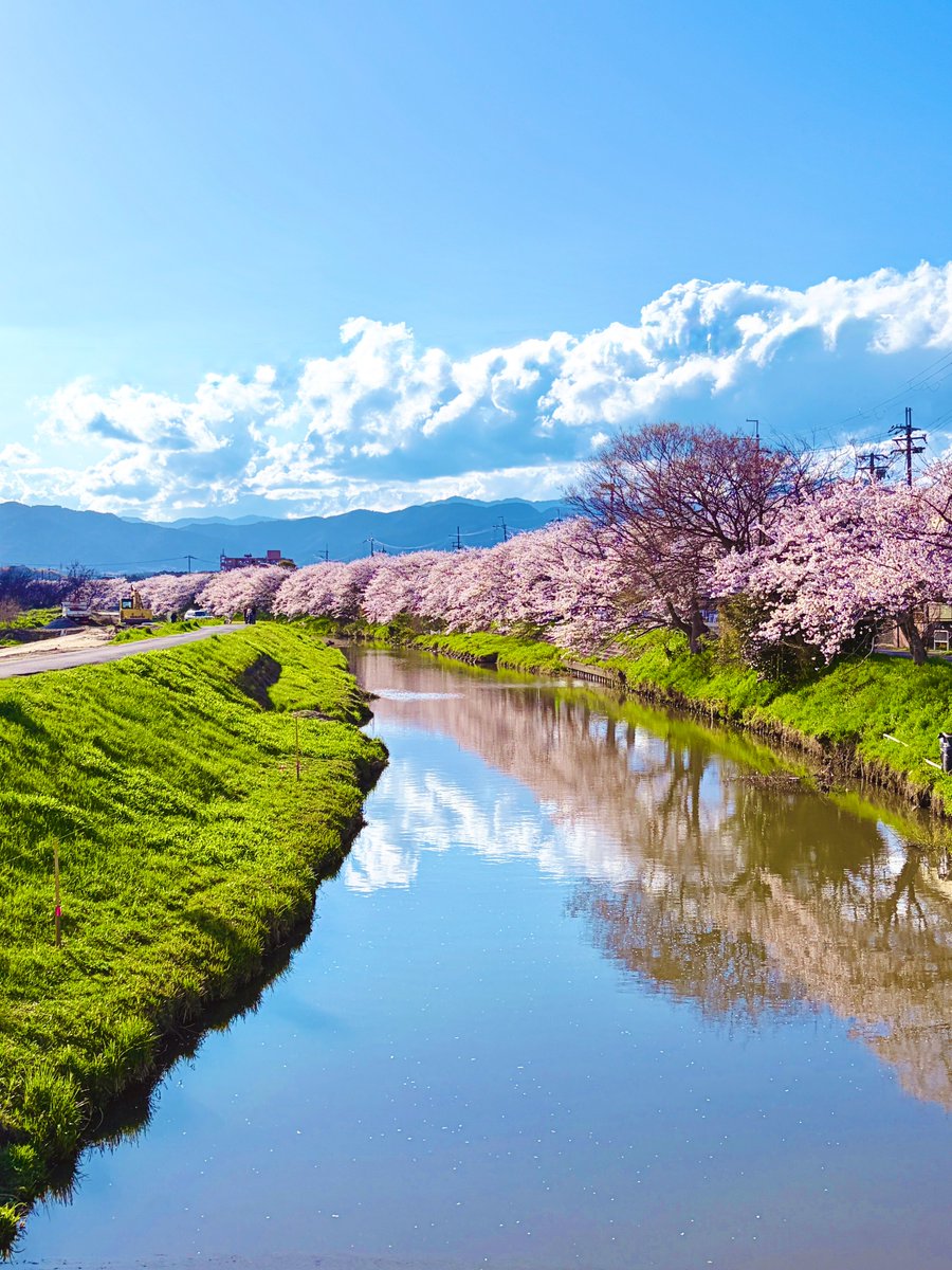 たかくら🐱🏍 tweet media