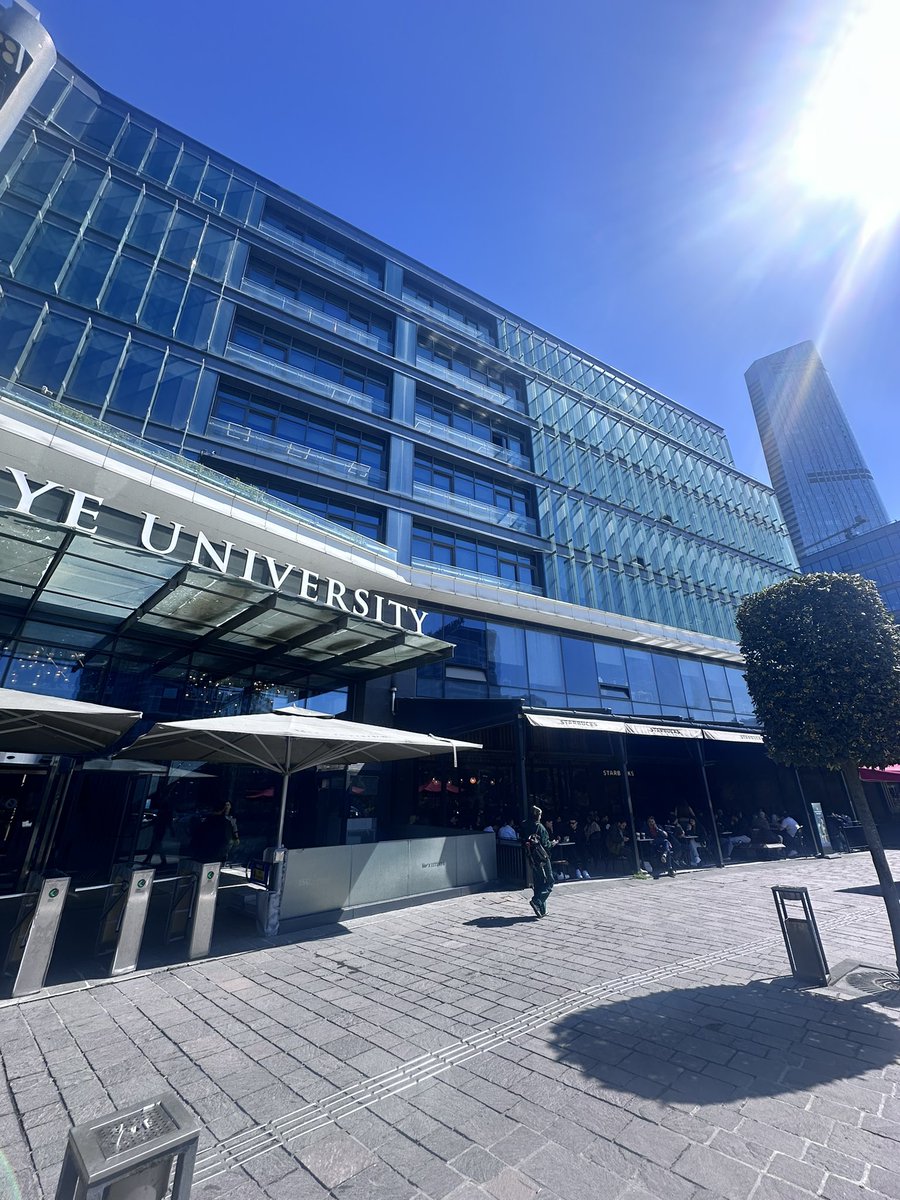 duru ziyagil tweet media