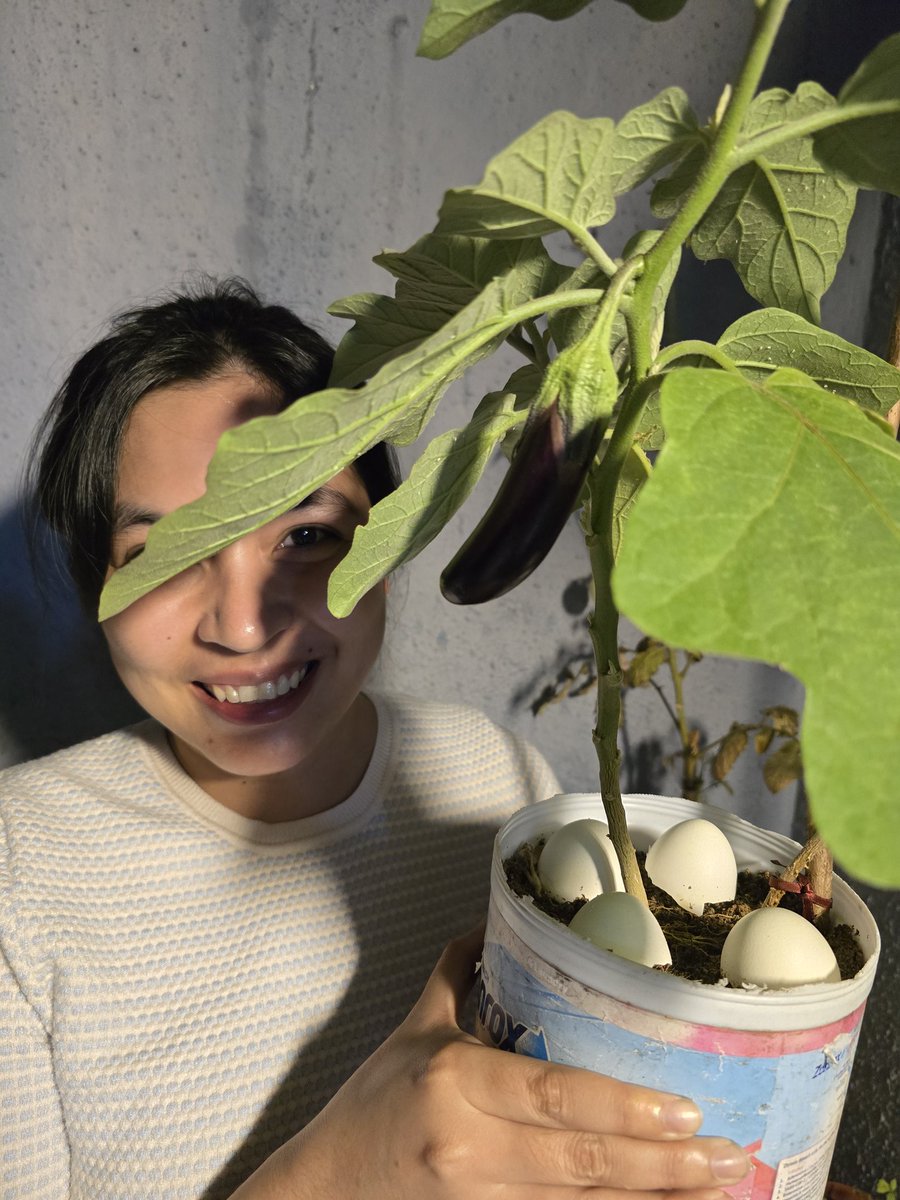 Louie Gene tweet media