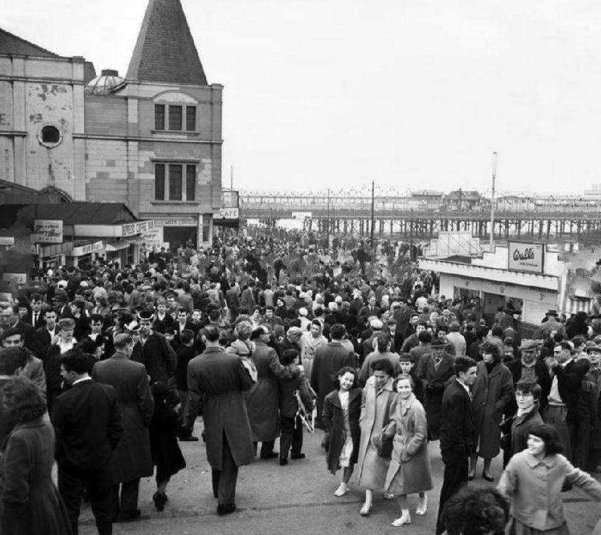 Kathleen tweet media