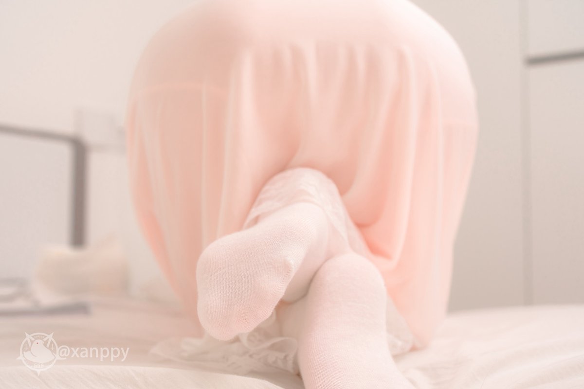 𝖝𝖆𝖓𝖕𝖕𝖞 tweet media