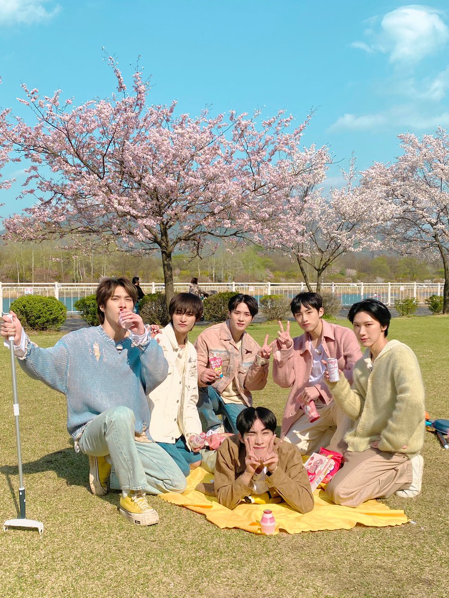 🧸🌸 tweet media