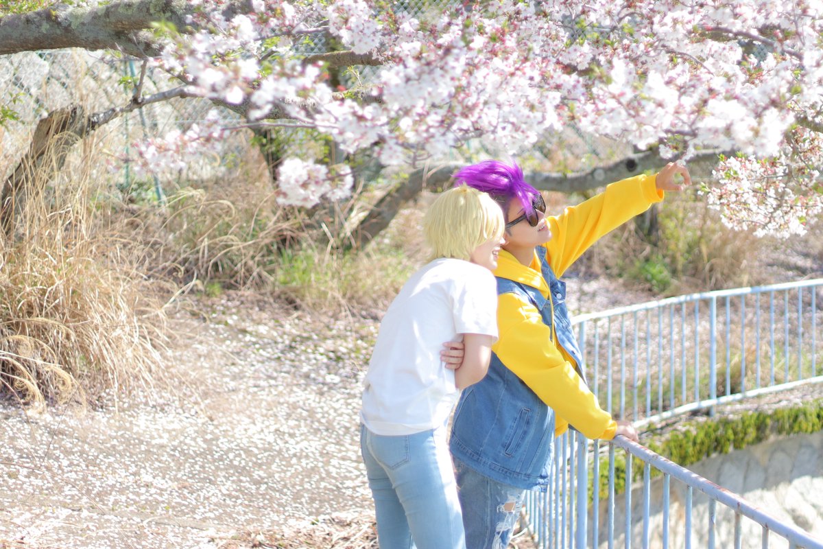 ぴよ・ろどりげす🐣 tweet media