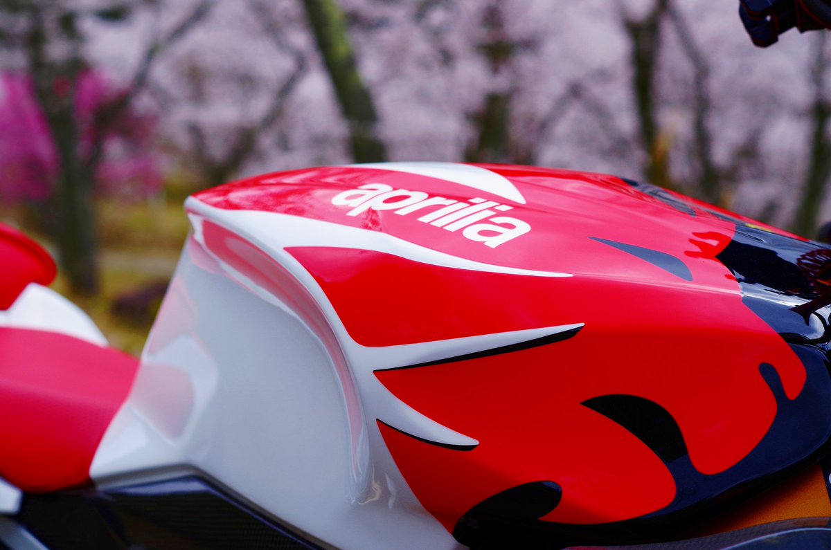 ☀Rosso_Leone☀まさぼん tweet media