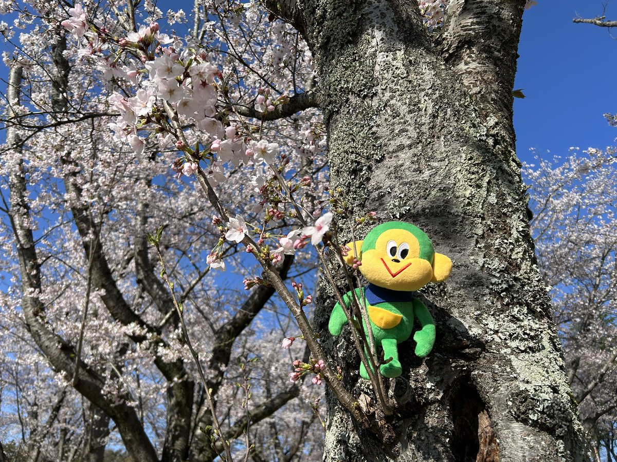 いとこのアレックス tweet media