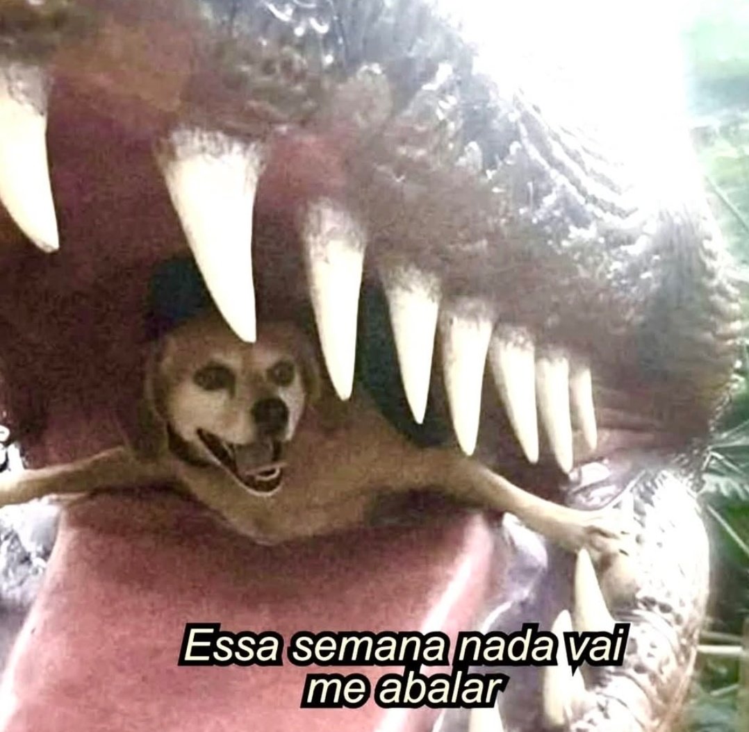 segunda-feira