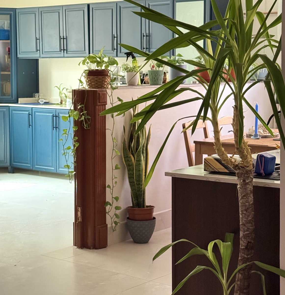 عاىسه tweet media