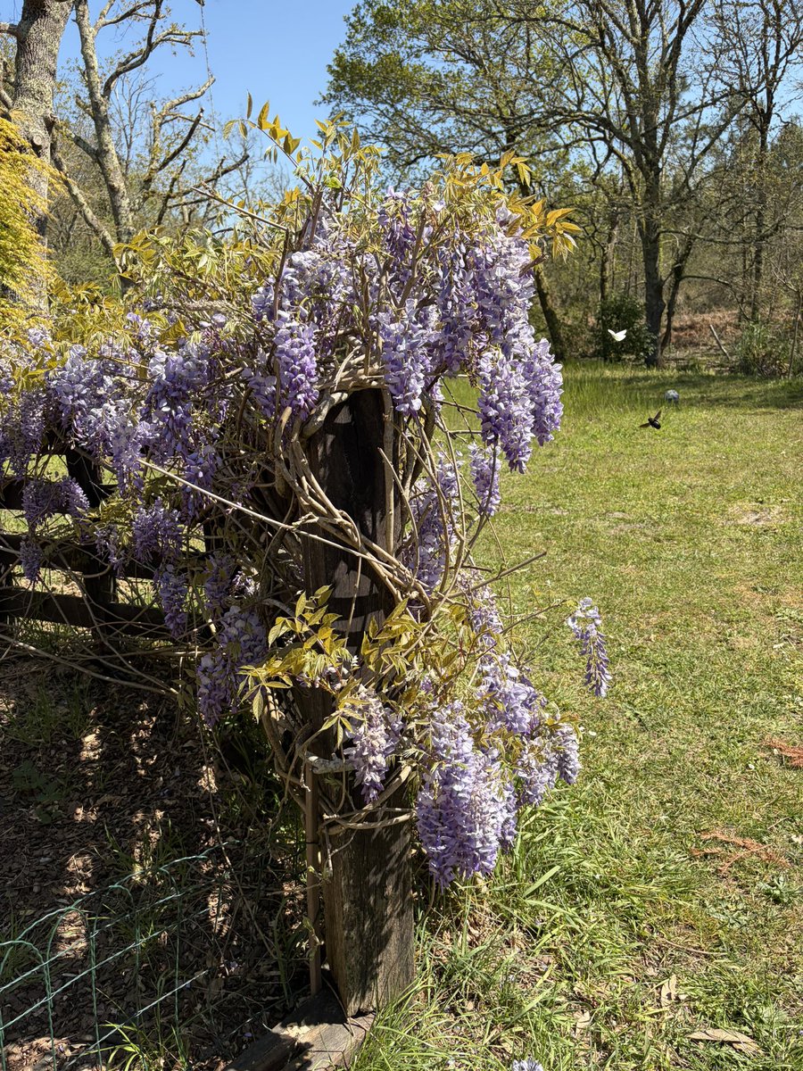 Eduardus Ekofius tweet media