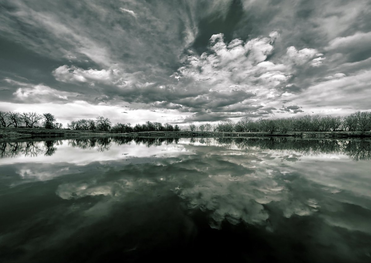 D Miller tweet media