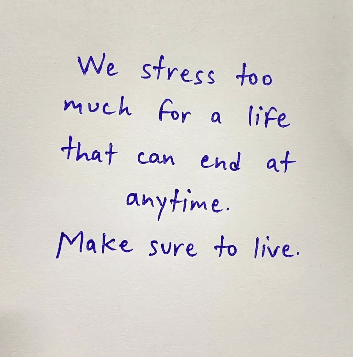 🌻 Dima 🌻 tweet media