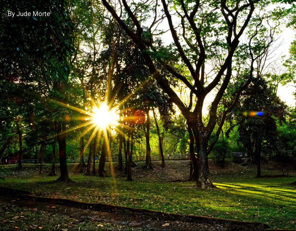 MorteJude's tweet image. Good morning on your side of the pond, Marcie ☀️

#Sunshine #fujifilmxm5 #sunrays #goldenhour #dawn