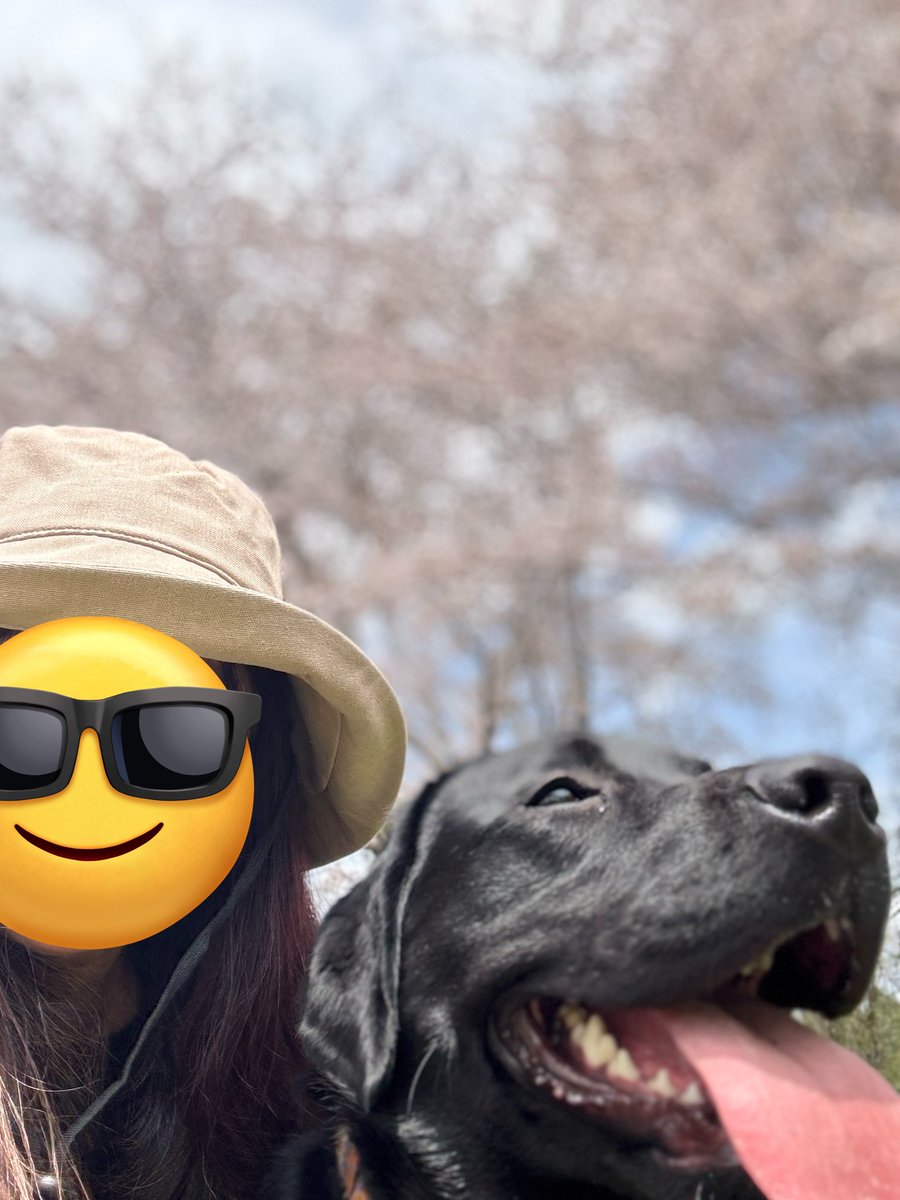 よれcamping tweet media