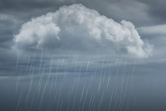 عبدالله الحربي tweet media