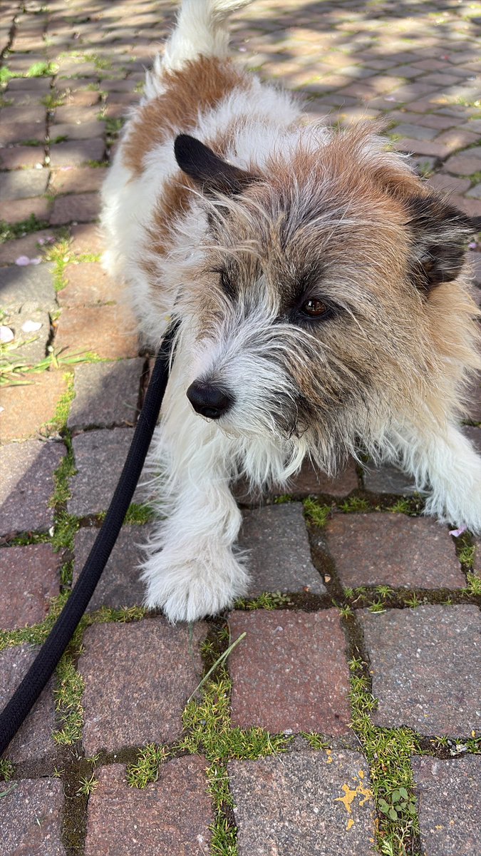 Queen___IRCA tweet media