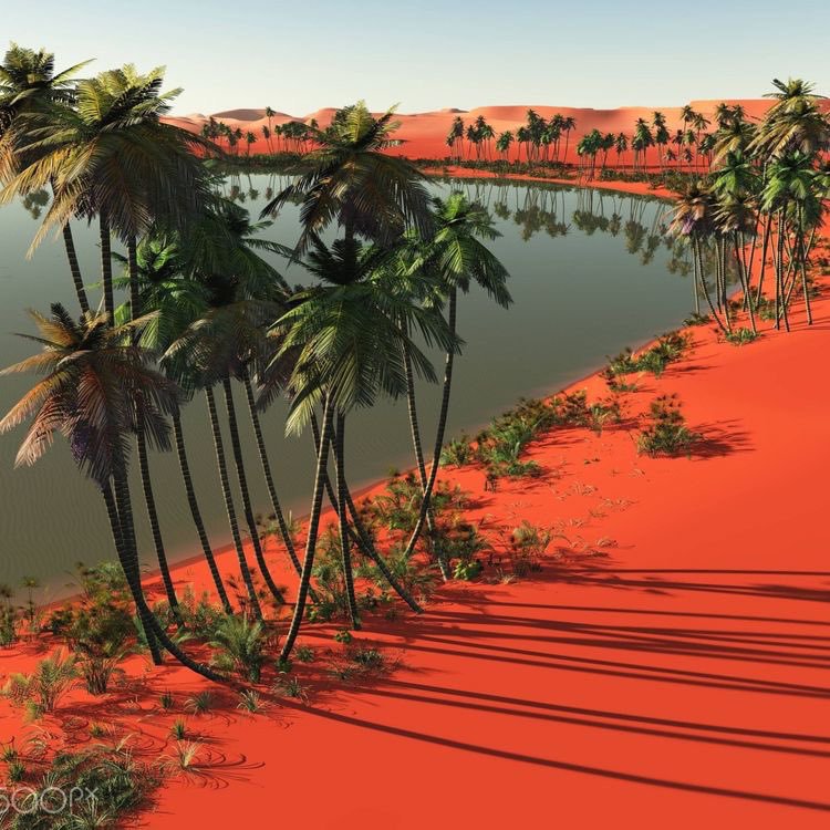 Beauty Explorer tweet media