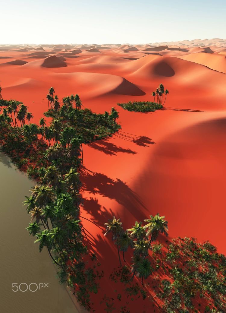 Beauty Explorer tweet media