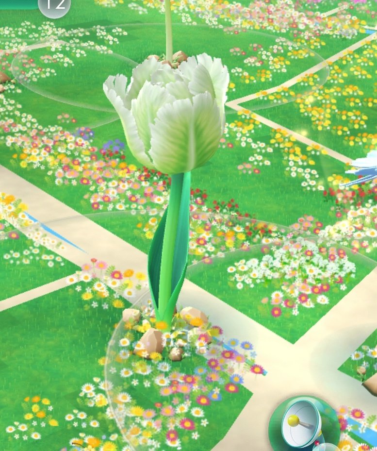 四樹 恵🪴 tweet media