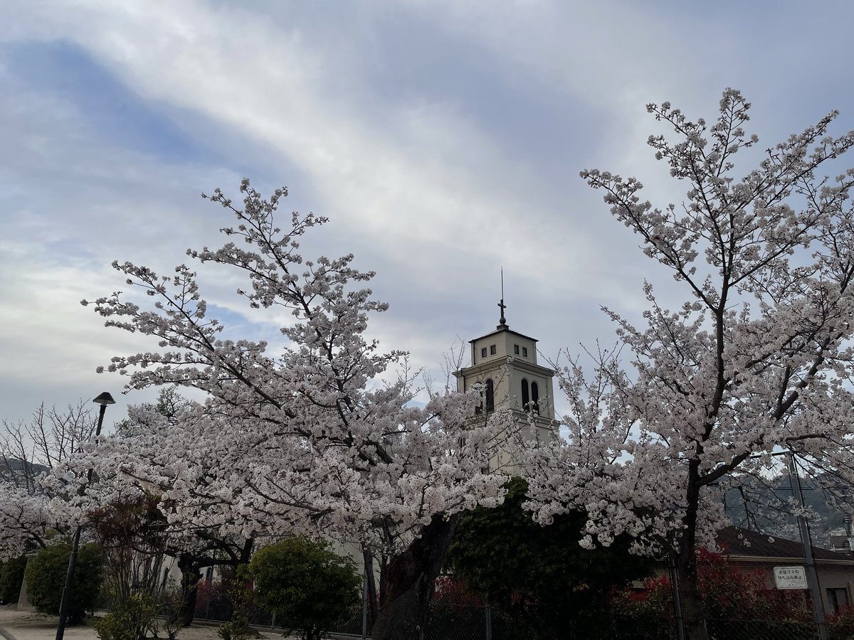 salon de ÇOÇO tweet media