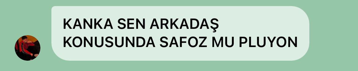 biz safsalagiz ki ailecek herkesi kendimiz gibi saniyoruz