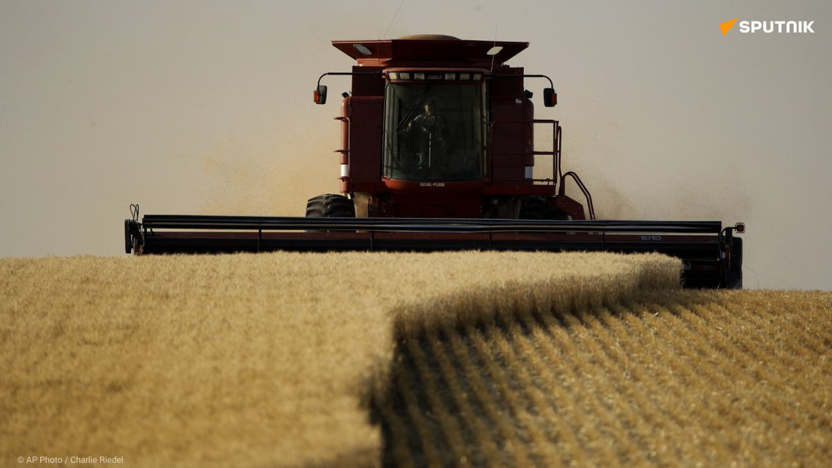 France Résistance tweet media