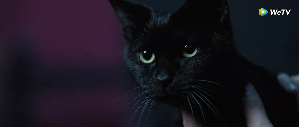 계세요 tweet media