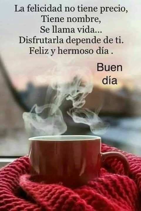 Javier tweet media