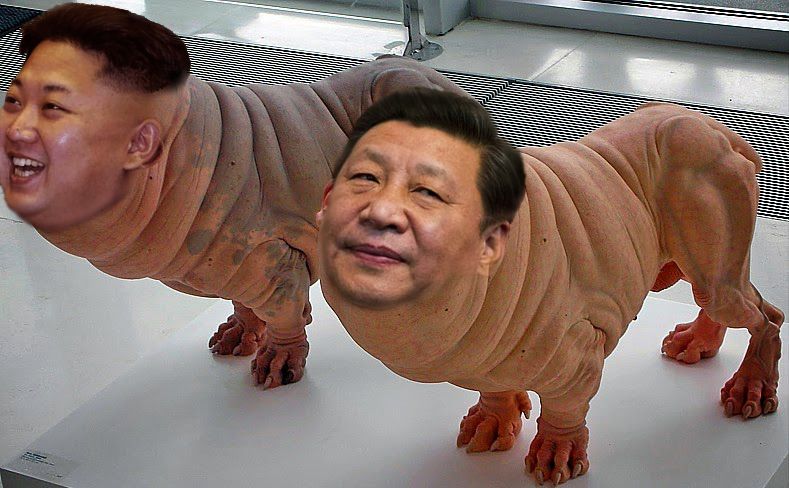 Tiny Reverie🇺🇸✝️ tweet media