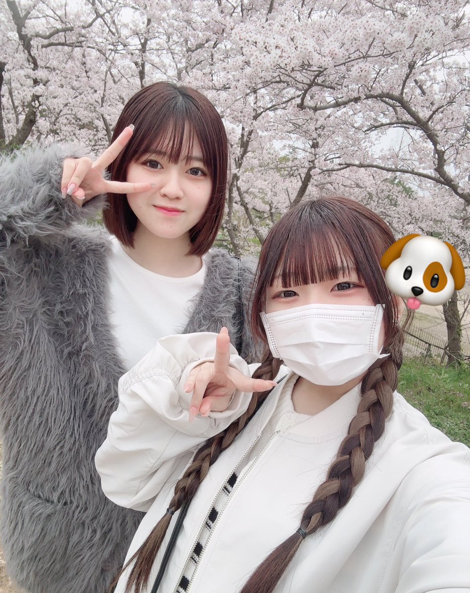 あおい@berliner filling wish tweet media