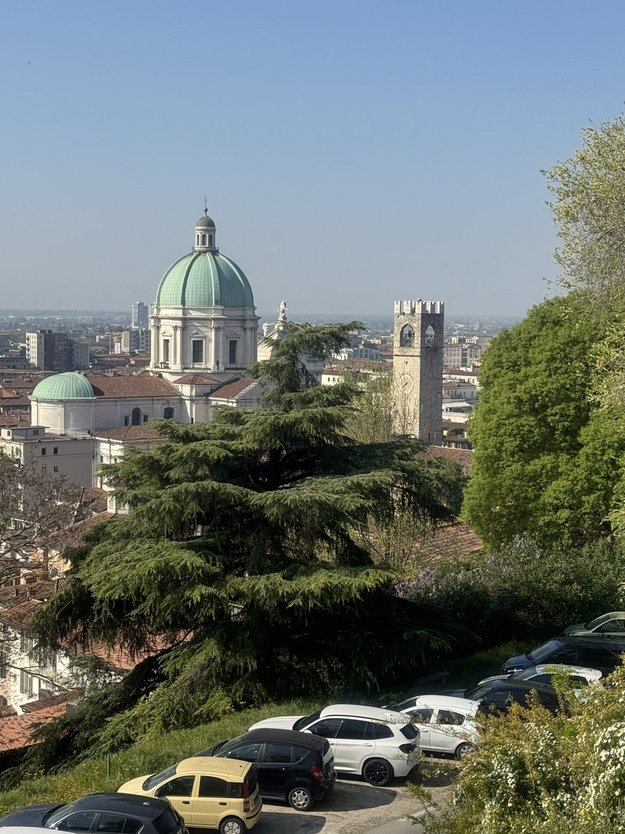 🦋CARRY tweet media