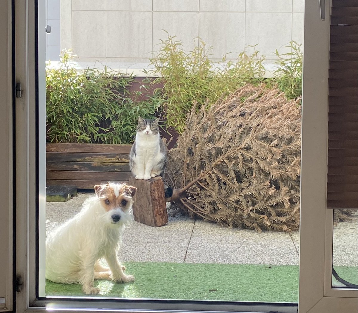 Grégory tweet media