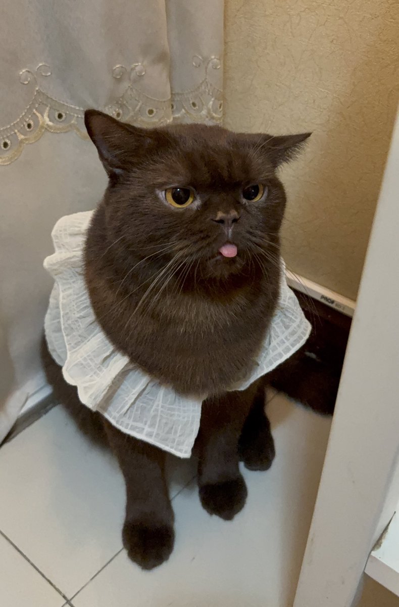 jejemama🎧🩰 tweet media