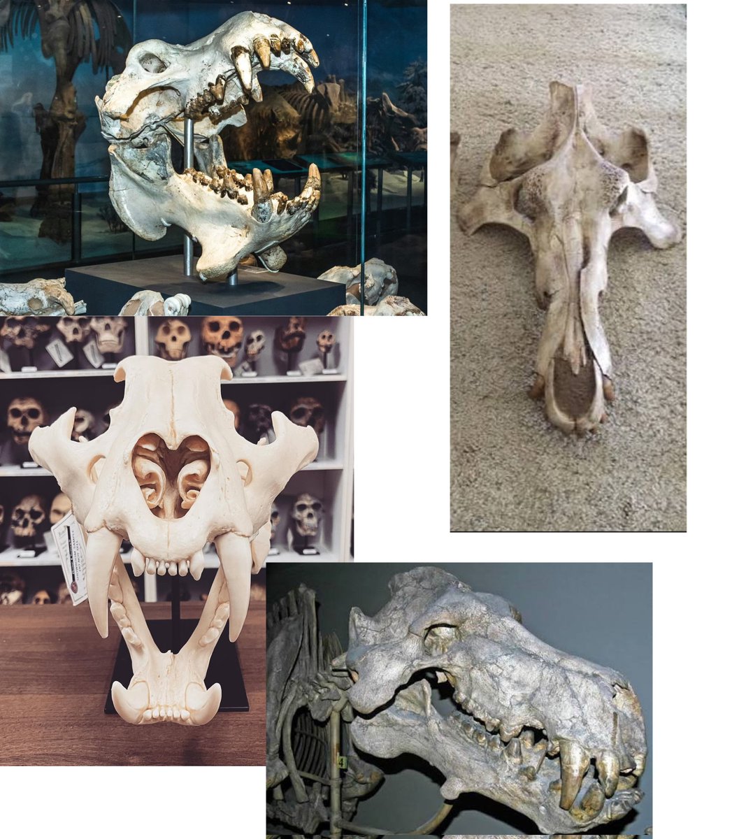 909McRonald tweet media