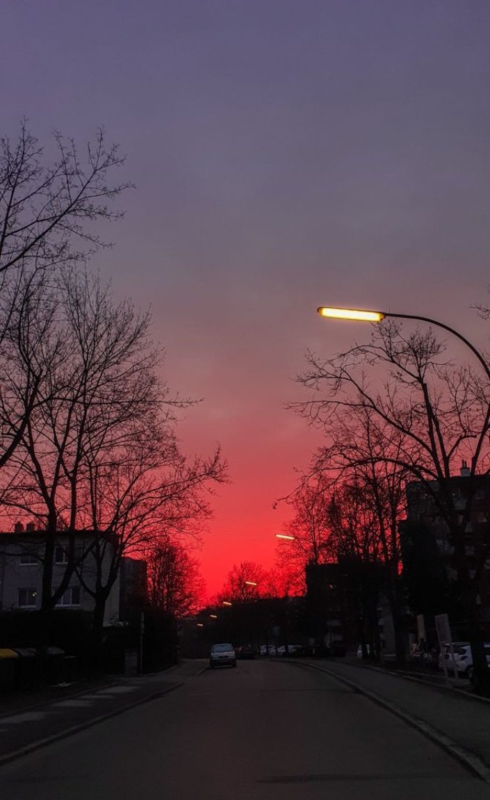 FitMindGlobal's tweet photo. I used to hate mornings.
Then I realized something:
The morning doesn't hate you.
It's just waiting to see who shows up.
Show up angry. Show up tired. Show up anyway.
The person who wins the morning wins the day.
What's the first thing you do when you wake up? 👇 https://t.co/940bcCEZlN