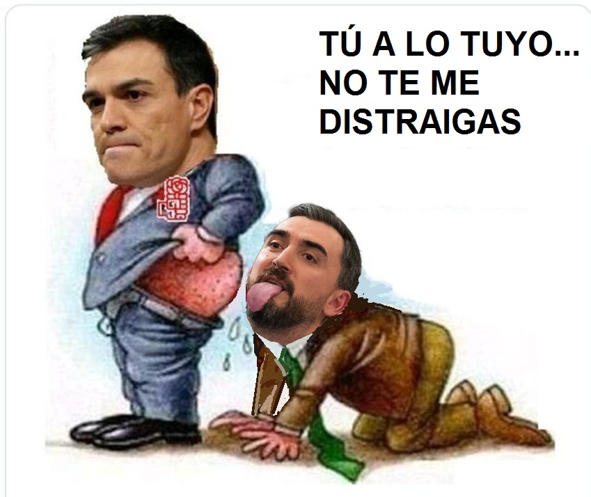 CAPITAN DE NAVIO tweet media