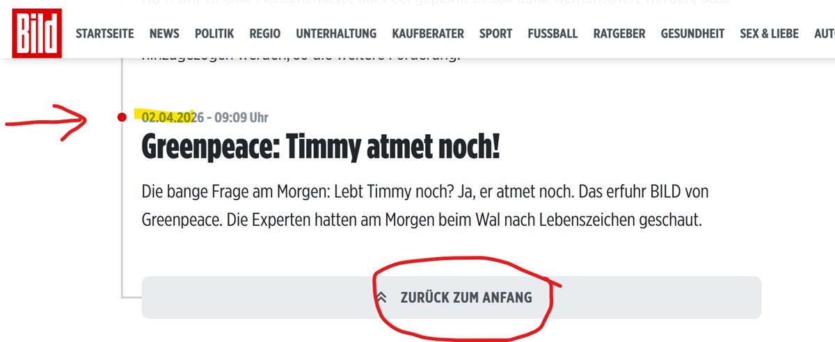 Linda Grünberg tweet media