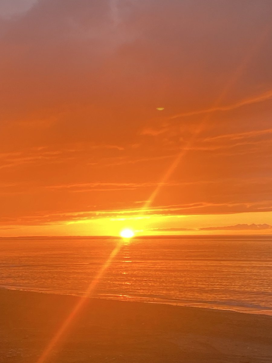 ZyYE 🍇 tweet media