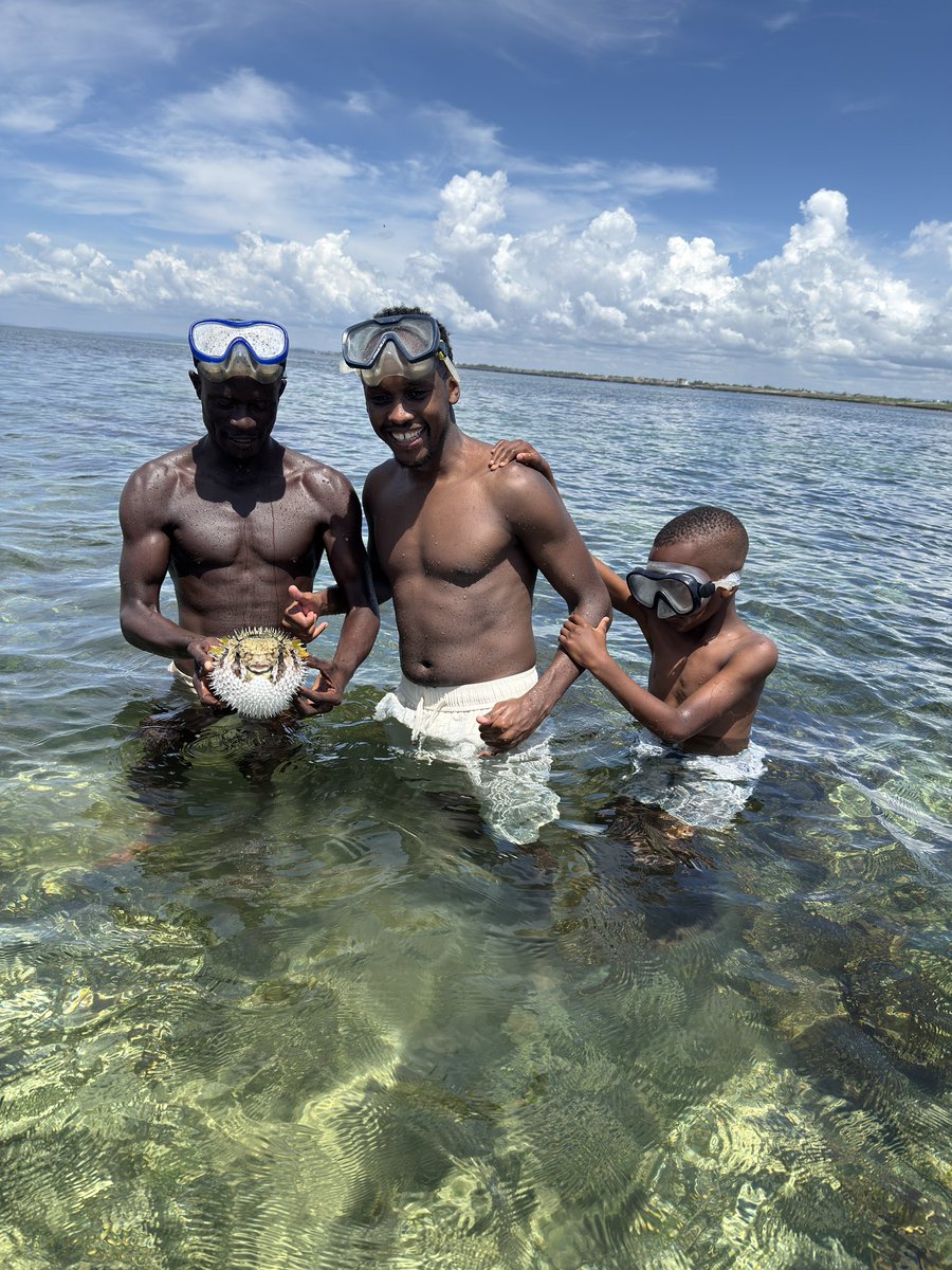 khalif kairo tweet media