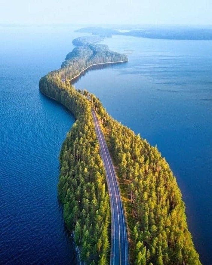 Nature's bridge in Punkaharju, Finland 🇫🇮