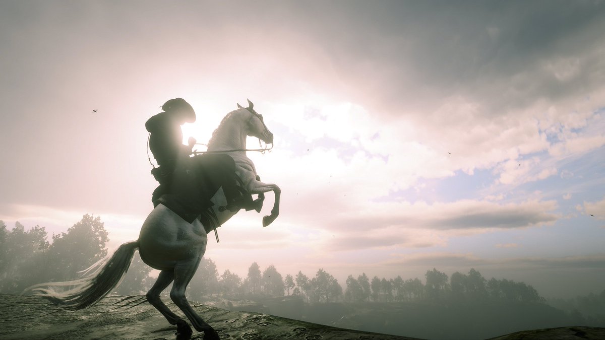 Annie 🌸 tweet media