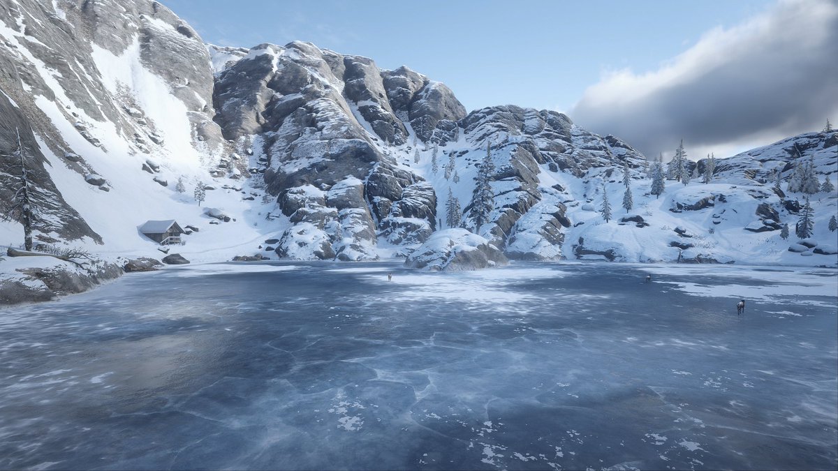 Annie 🌸 tweet media