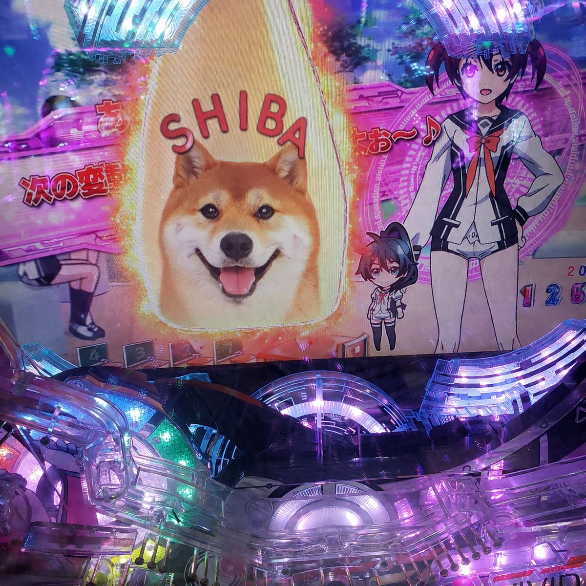 久兵衛 tweet media