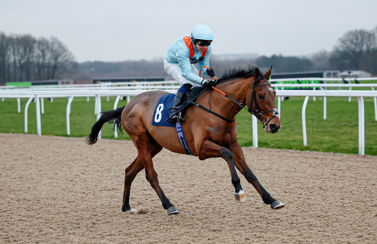 Middleham Park Racing tweet media